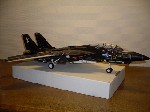 k-F-14 Tomcat (15).jpg

244,85 KB 
640 x 480 
18.03.2009
